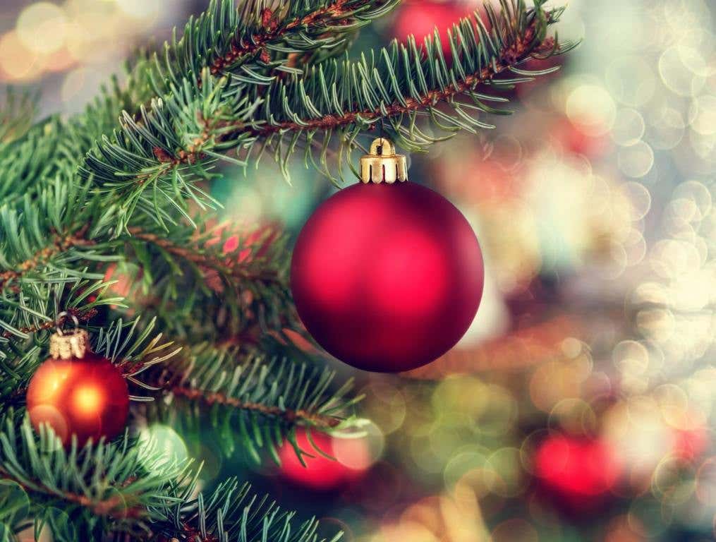 Christmas Tree Safety Tips