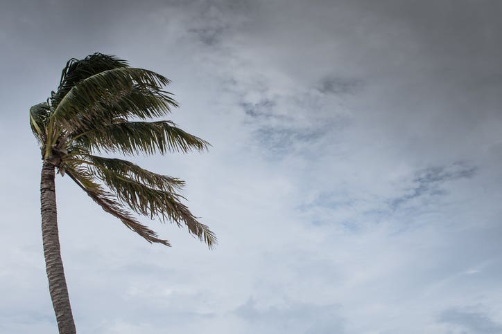 Tropical Storm Nicole Update