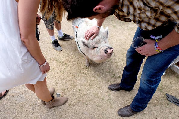 2016 Stagecoach California's Country Music Festival - Day 2