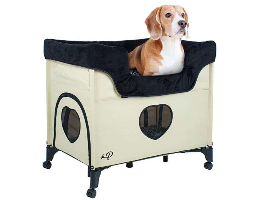 beagle in dog pet bed crate