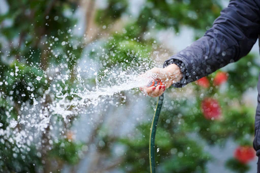 Garden hose sprays as Sydney Water Restrictions Come Into Effect Due To Continuing NSW Drought.