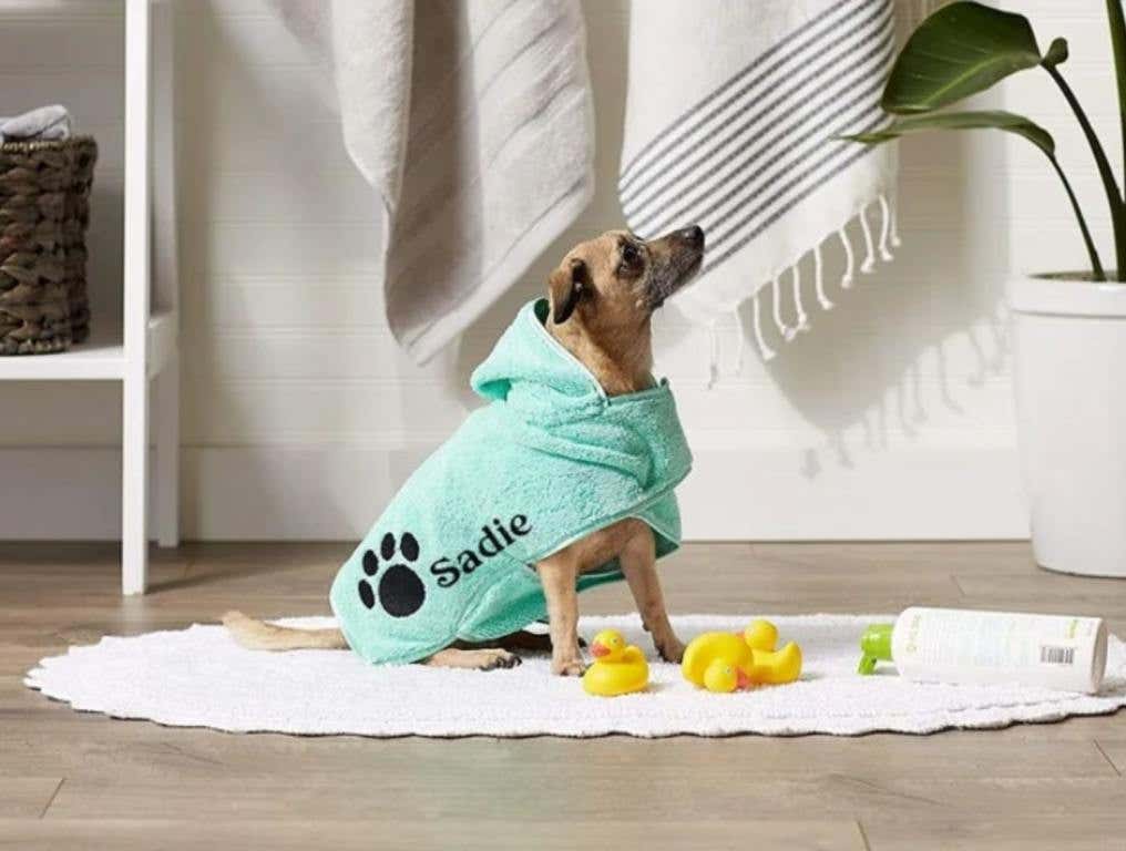 adorable dog in a personalized robe