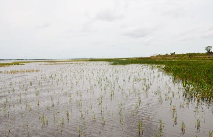 Lake Kissimmee