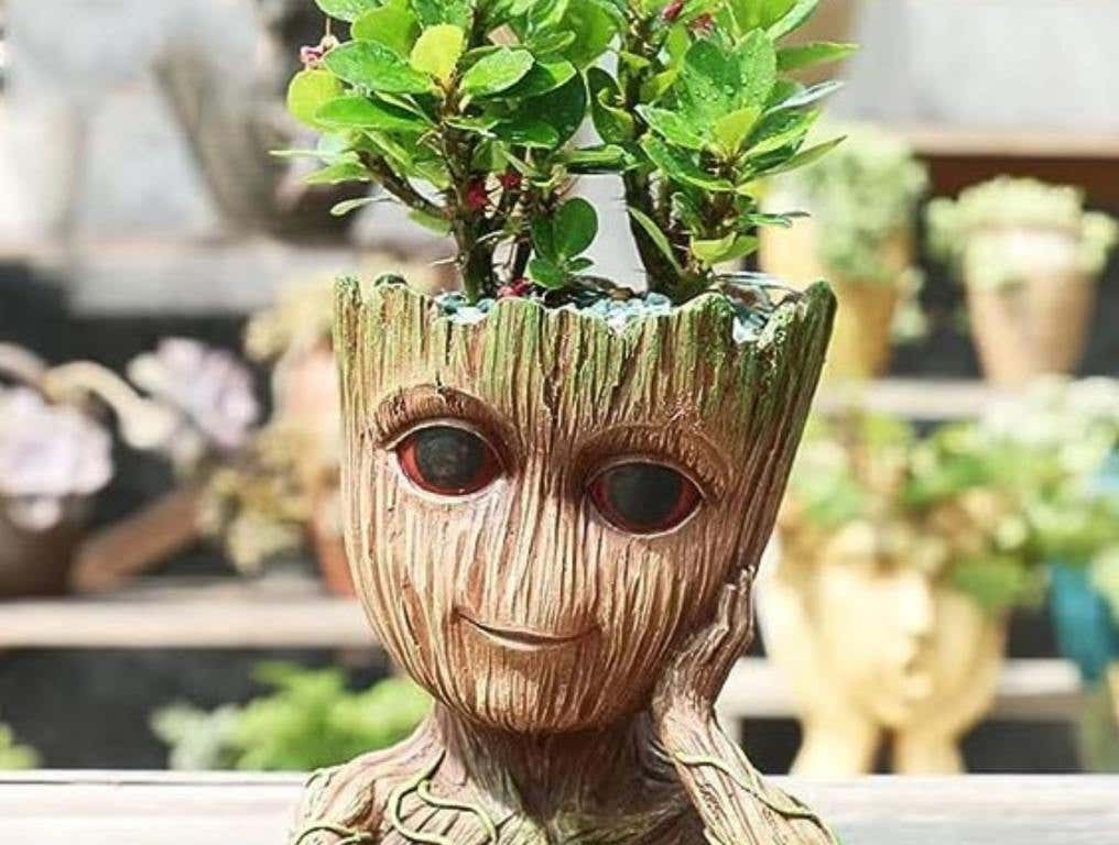 groot head plant pot