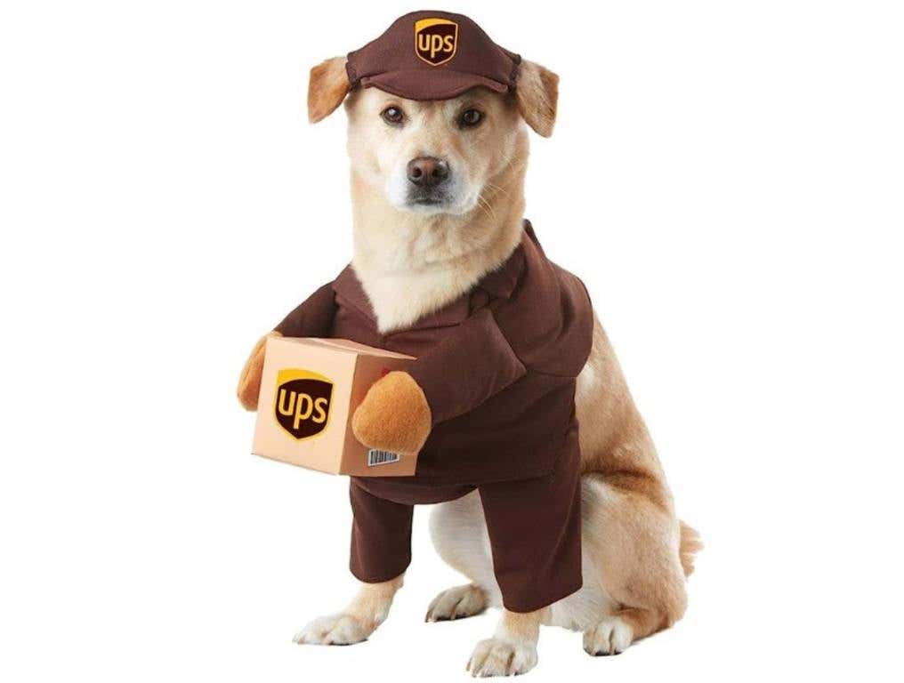 ups pet dog costume for halloween