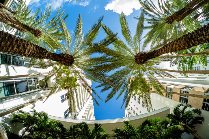 Miami Beach fish eye cityscape with art deco architecture and majestic palm trees.