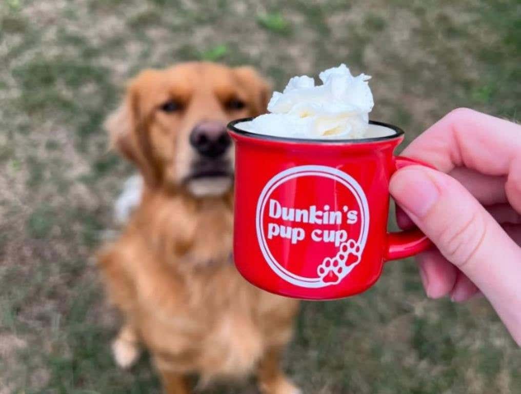 red pup cup