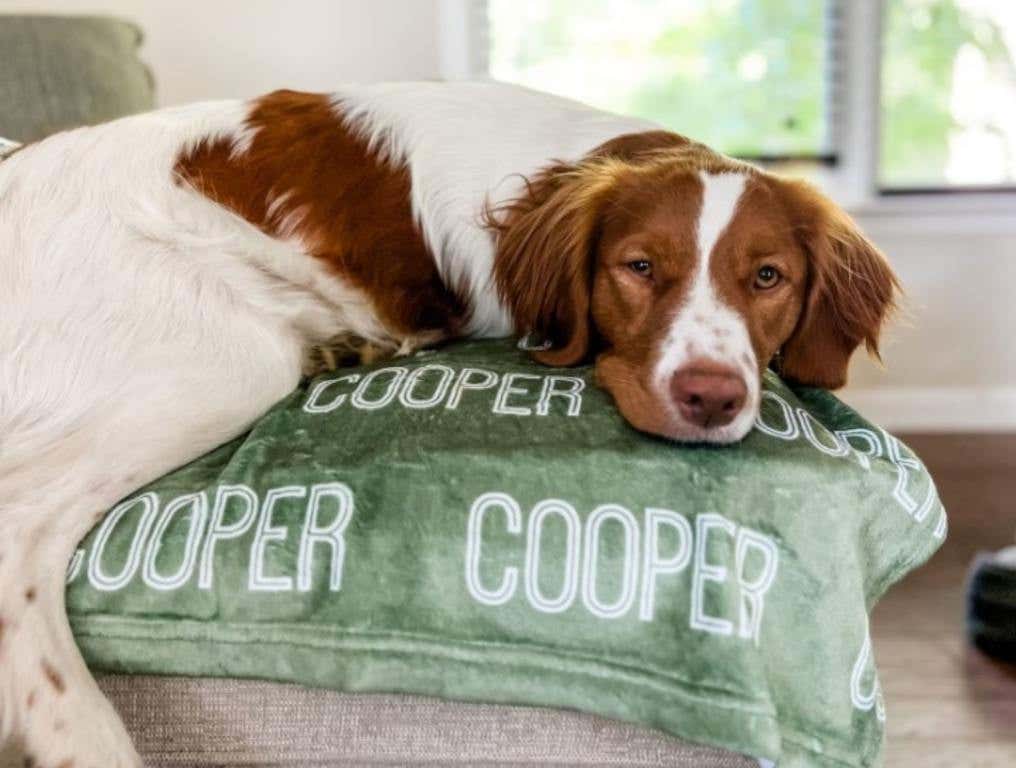 personalized dog blankets