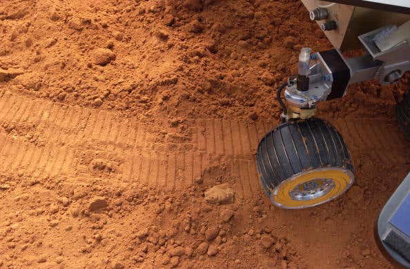 NASA Is Seeking Volunteers In Southwest Florida To Live In Its Mars Simulation