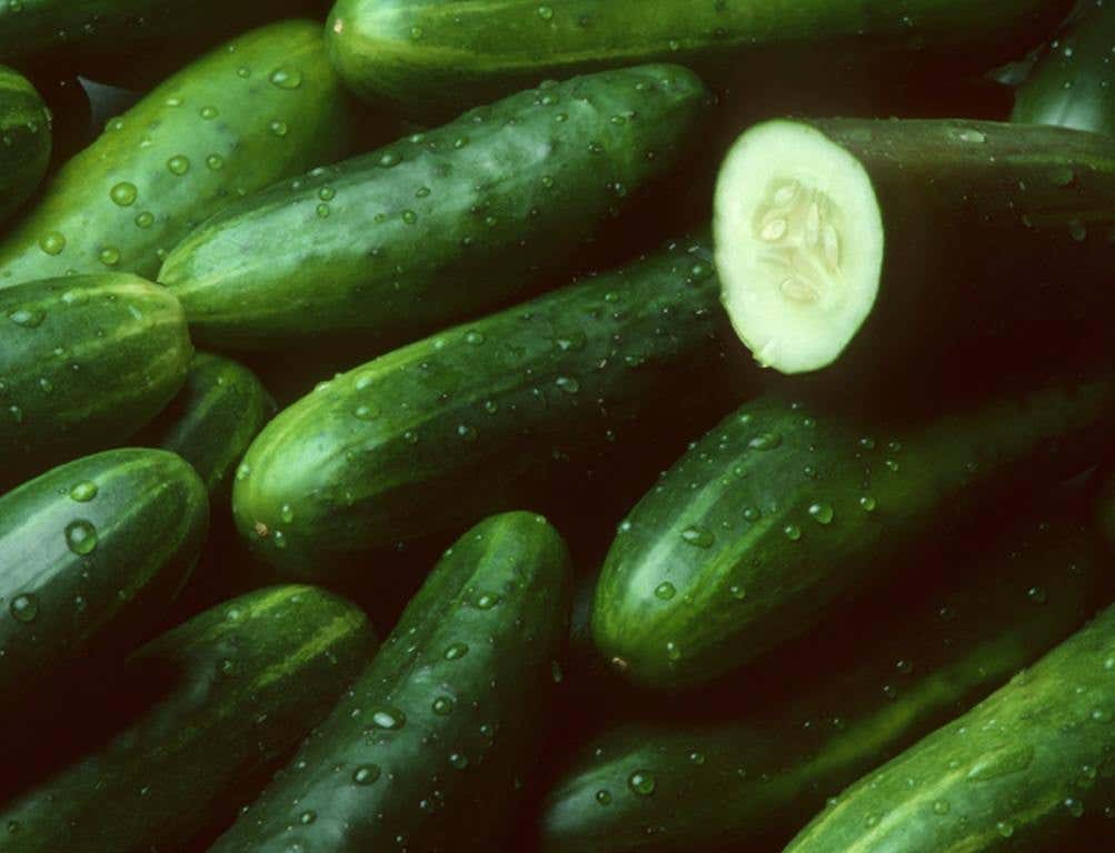 A pile of fresh cucumbers lying diagonally with drops of water with one cut open