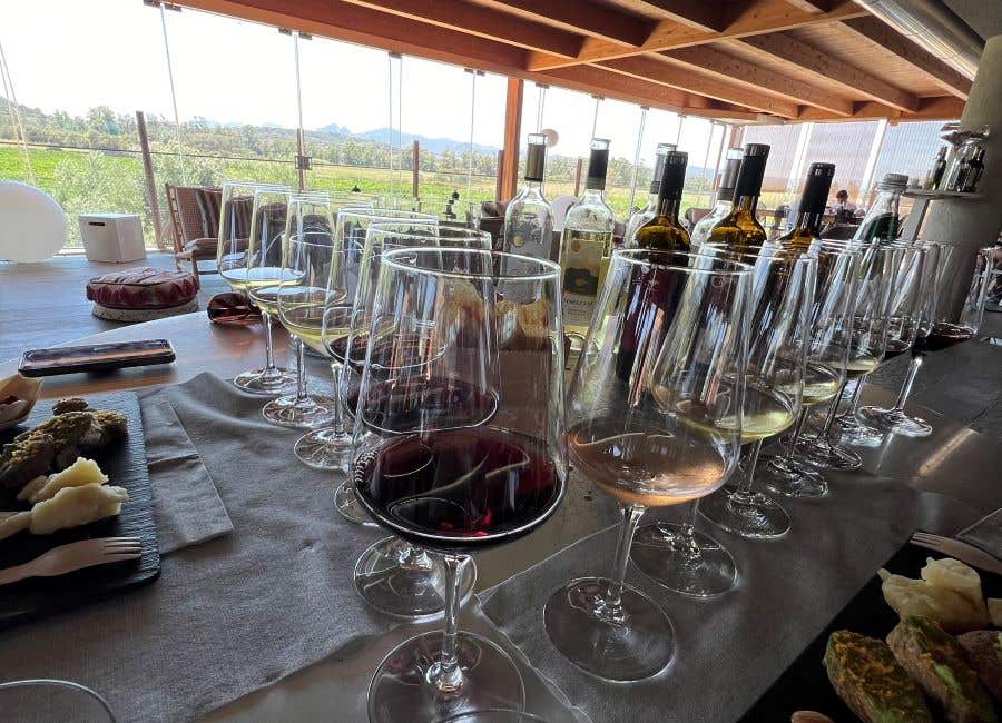 table full of wine glasses over looking a vineyard for wines from Sardinia in Southwest Florida