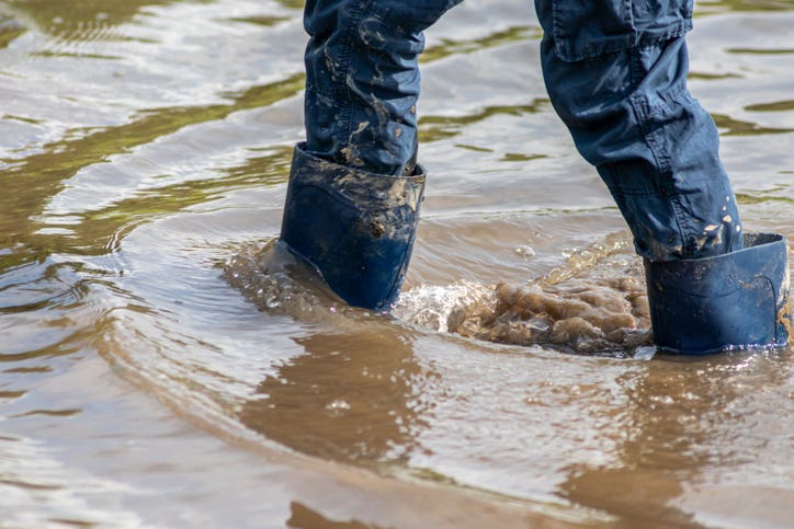 Young boy with short blue trowsers wading with wet socks and wet boots through high tide after a floodwater has broken the dike and overflown the lands behind not knowing about Gina's flood safety information