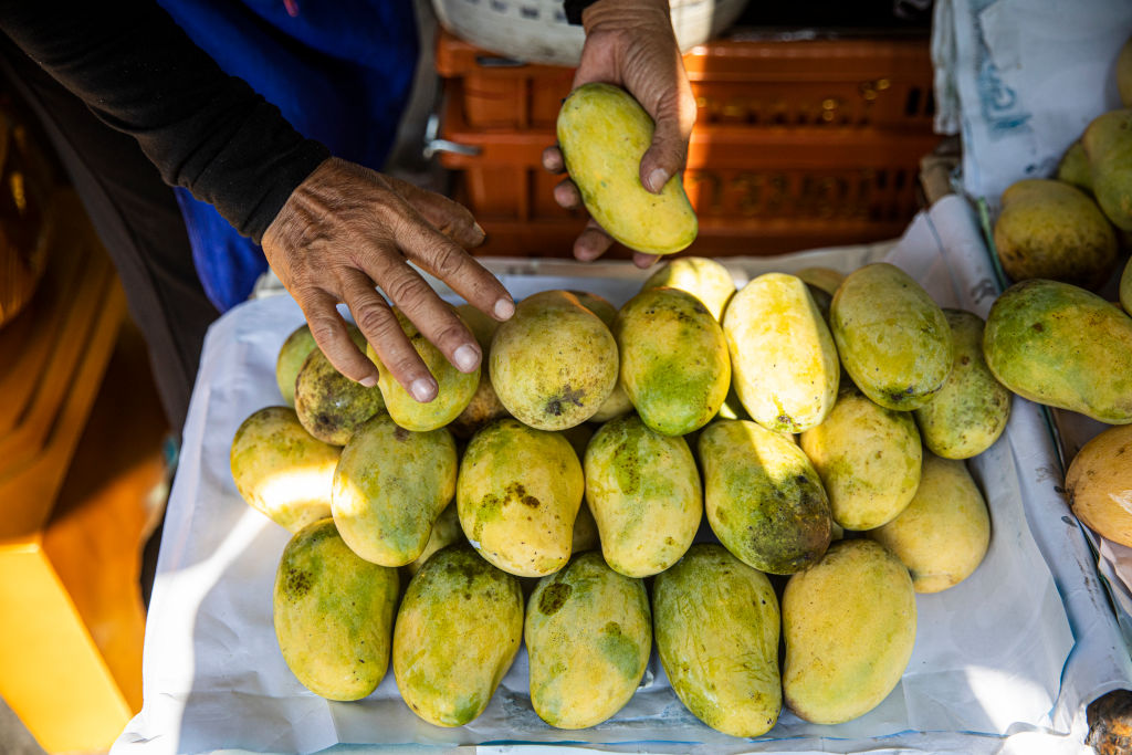 Thailand Nominates Mango Sticky Rice For UNESCO Heritage List.
A Florida man is facing felony charges for throwing mangos and a rock at his neighbor in a homophobic outburst.
