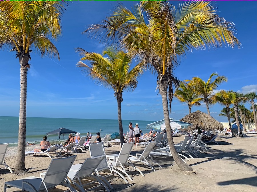 Beach with blue sky, palm trees and chairs. The Florida Travel report shows people will be staycationing this year. 